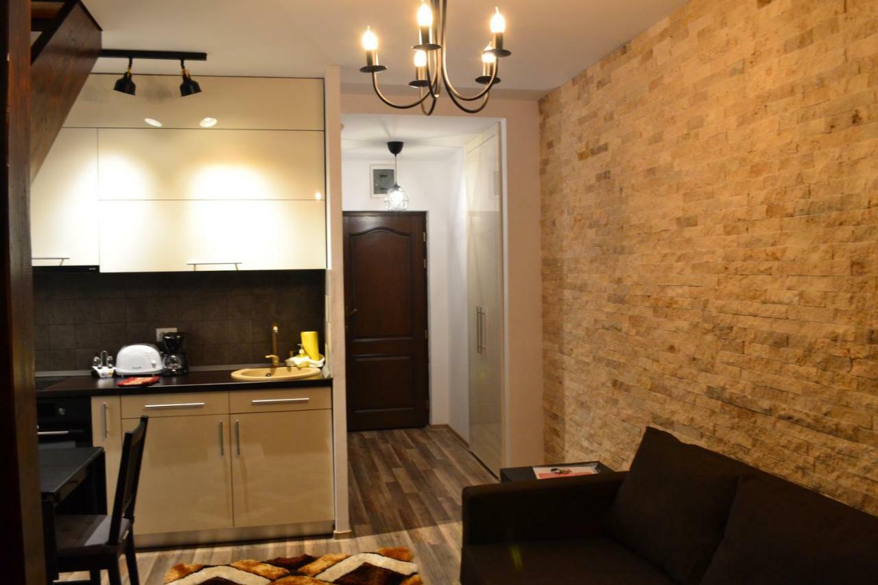 Apartament Golden Rose 1 Buşteni エクステリア 写真