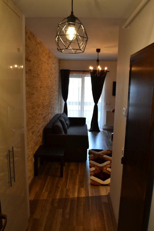 Apartament Golden Rose 1 Buşteni エクステリア 写真