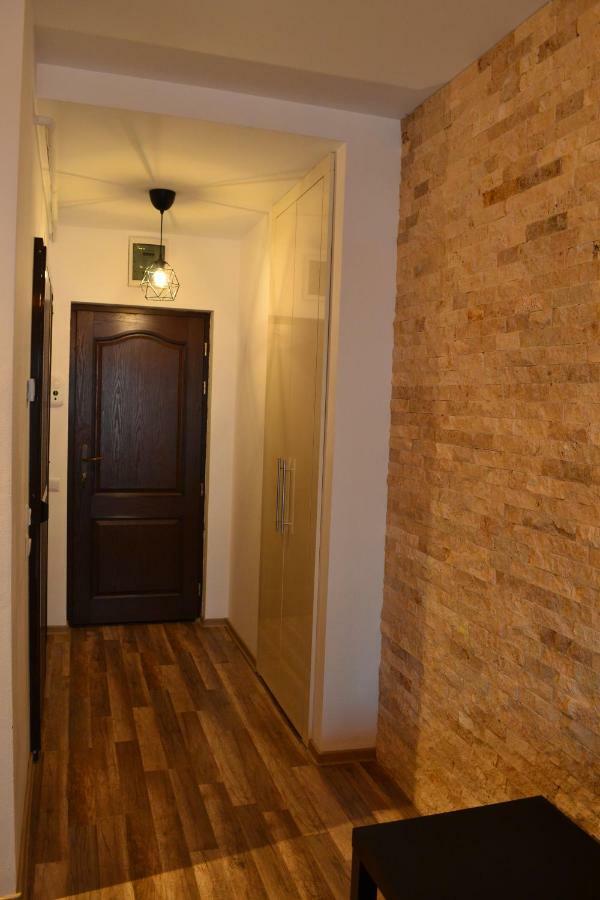 Apartament Golden Rose 1 Buşteni エクステリア 写真