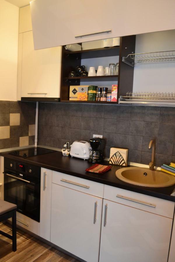 Apartament Golden Rose 1 Buşteni エクステリア 写真