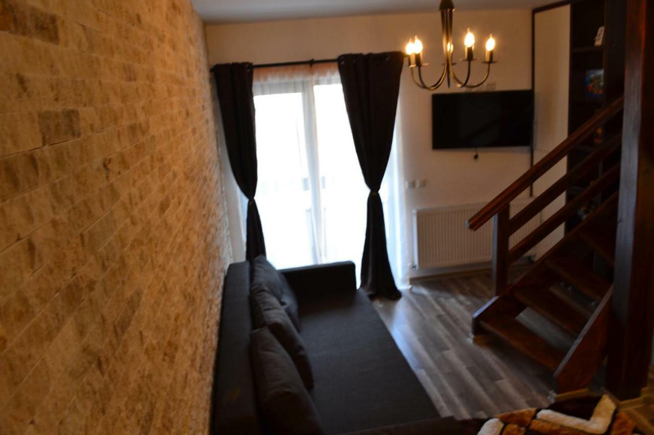 Apartament Golden Rose 1 Buşteni エクステリア 写真