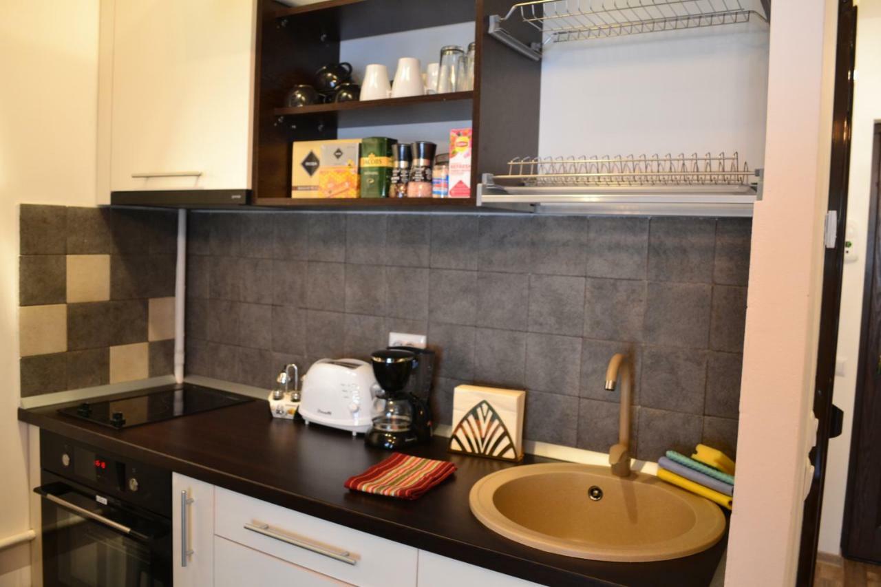 Apartament Golden Rose 1 Buşteni エクステリア 写真