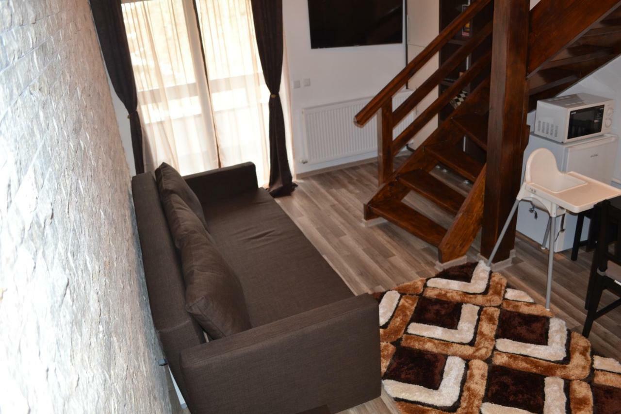Apartament Golden Rose 1 Buşteni エクステリア 写真